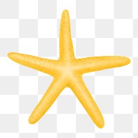 Yellow starfish png sticker, animal illustration, transparent background