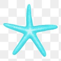 Turquoise starfish png sticker, animal illustration, transparent background