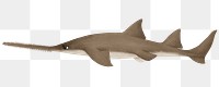 Cute sawfish png sticker, animal illustration, transparent background