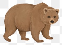 Tired bear png sticker, animal illustration, transparent background