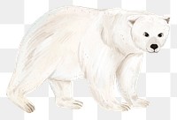 Polar bear png sticker, animal illustration, transparent background