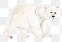 Sad polar bear png sticker, animal illustration, transparent background