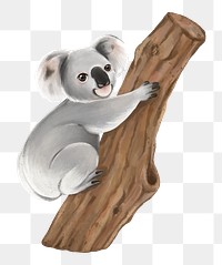 Koala on tree png sticker, animal illustration, transparent background