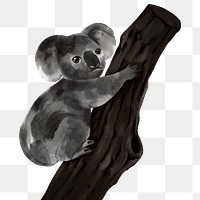 Ashy koala baby png sticker, animal illustration, transparent background