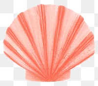 Clam shell png sticker illustration, transparent background