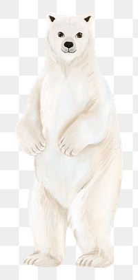 Polar bear png sticker, animal illustration, transparent background