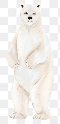 Lonely polar bear png sticker, animal illustration, transparent background