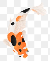 Koi fish png sticker, animal illustration, transparent background