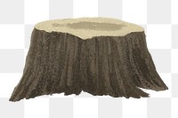 Tree stump png sticker, nature illustration, transparent background