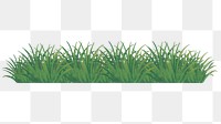 Green grass border png sticker, transparent background