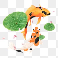 Koi fish png sticker, animal illustration, transparent background