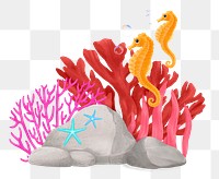 Coral reef png sticker, animal illustration, transparent background