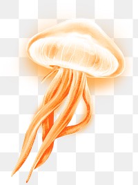 Neon orange jellyfish png sticker, animal illustration, transparent background