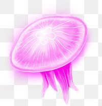 Neon pink jellyfish png sticker, animal illustration, transparent background