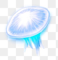 Neon blue jellyfish png sticker, animal illustration, transparent background