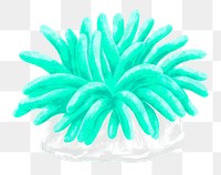 Neon green coral png sticker, nature illustration, transparent background