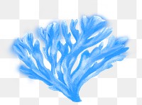 Blue coral png sticker, nature illustration, transparent background