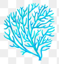 Blue coral png sticker, nature illustration, transparent background