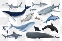 Large sea life animals png sticker illustration, transparent background set