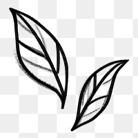 Leaf png doodle, transparent background