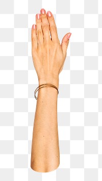 Back of hand png sticker, transparent background