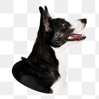 Cardigan Welsh Corgi png sticker, transparent background