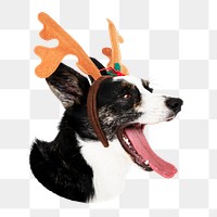 Png dog wearing antlers sticker, transparent background