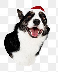 Png dog with Christmas hat sticker, transparent background