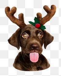 Puppy with Christmas headband png sticker, transparent background