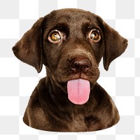 Funny black dog png sticker, transparent background