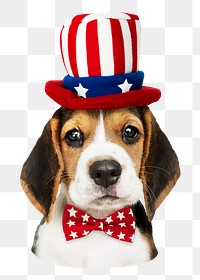 Png beagle wearing USA hat sticker, transparent background