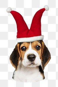 Png puppy in jester hat sticker, transparent background