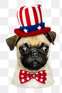 Pug in Uncle Sam hat png sticker, transparent background