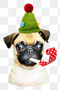 Party pug dog png sticker, transparent background