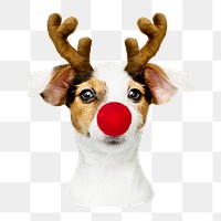 Cute Christmas dog png sticker, transparent background