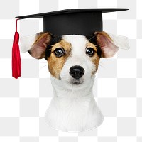 Puppy in graduation cap png sticker, transparent background