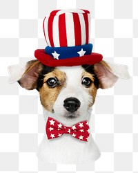 Puppy in Uncle Sam hat png sticker, transparent background