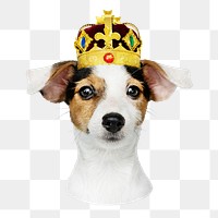 Puppy in gold crown png sticker, transparent background