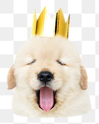 Puppy with gold crown png sticker, transparent background