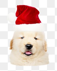 Png puppy wearing Santa hat sticker, transparent background