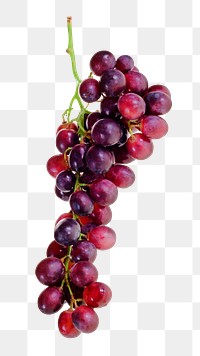 Purple grapes fruit png sticker, transparent background