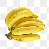 Banana fruit png, transparent background