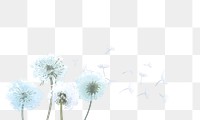 Dandelions png border, transparent background