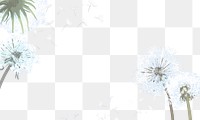 Dandelions png border, transparent background