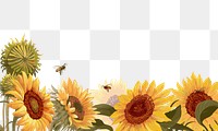 Sunflower png border, transparent background