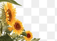 Sunflower png border, transparent background