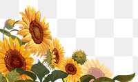 Sunflower png border, transparent background