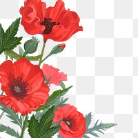 Poppy png border, transparent background