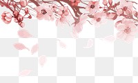 Cherry blossom png border, transparent background