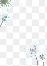 Dandelions png border, transparent background